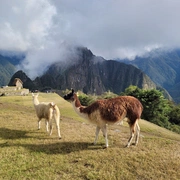 Machu Picchu via Salkantay, Cusco e Titikaka