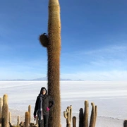 Deserto de Atacama e Salar de Uyuni