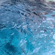 Egito, Grécia e Itália