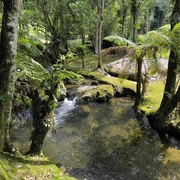 Maromba, Maringá e Visconde de Mauá
